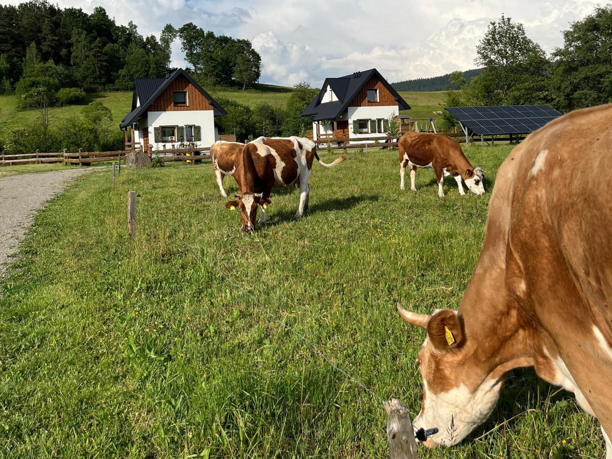 Zagroda Wypoczynkowa- Domki Nad Rzeka Smerekowiec Exterior foto